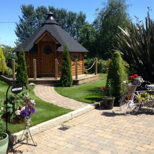Tegula - Image 3