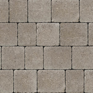 Tegula - Image 12