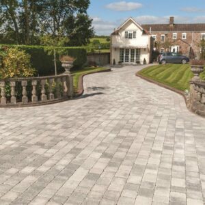 Tegula - Image 5