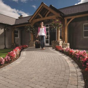 Tegula - Image 2