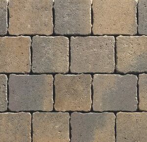 Hydropave Tegula - Image 2