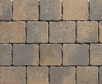 Hydropave Tegula - Image 2