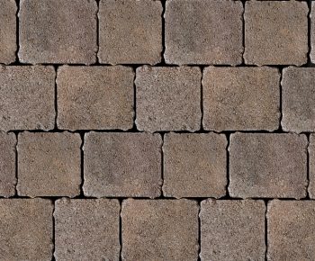 Hydropave Tegula - Image 3