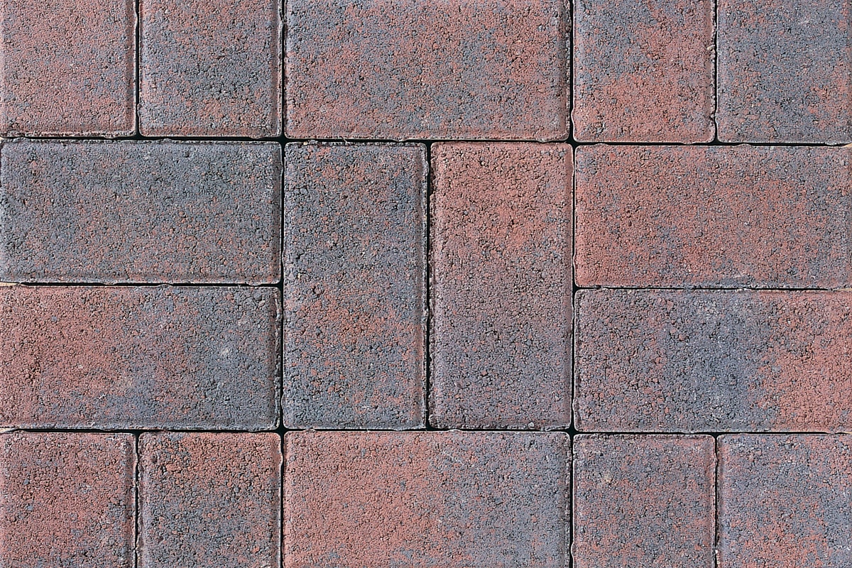 Pedesta - Image 3