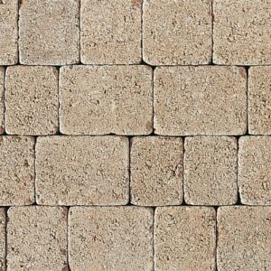 Tegula Setts - Image 3