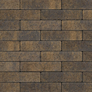 Artro - Image 7