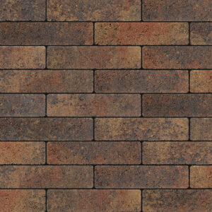 Artro - Image 8