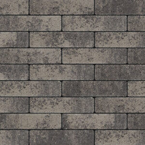 Artro - Image 4