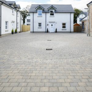 Shannon - Image 13