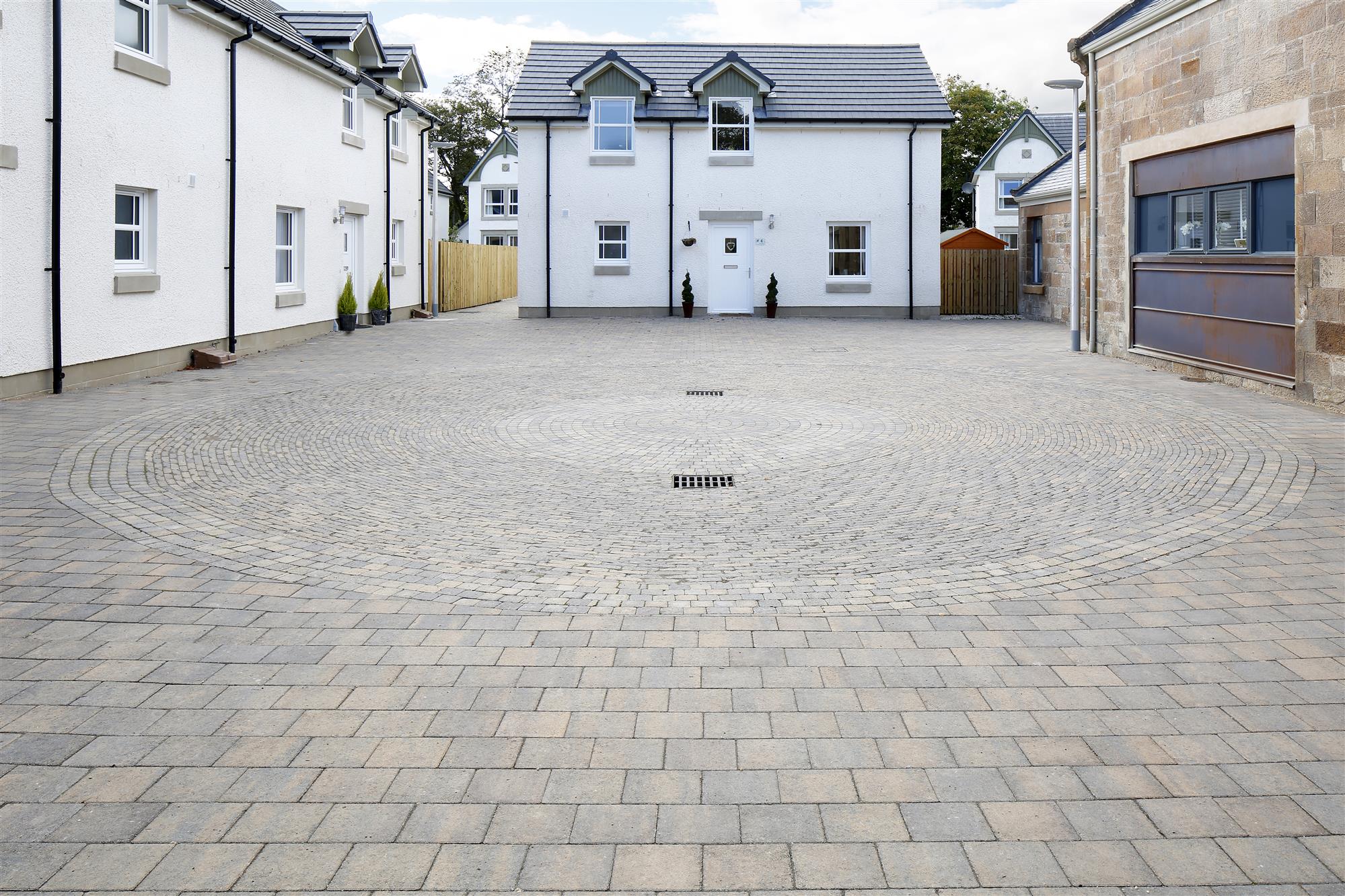 Shannon - Image 13