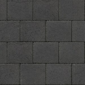 Shannon - Image 4