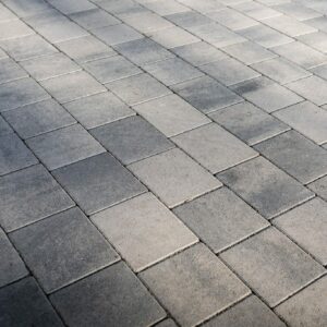 Shannon - Image 7