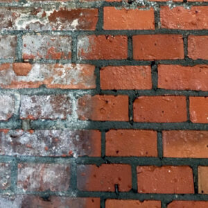 ProtectiT Efflorescence Remover - Image 3