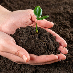 Premium Grow Pro Topsoil 1 Ton Bag - Image 4