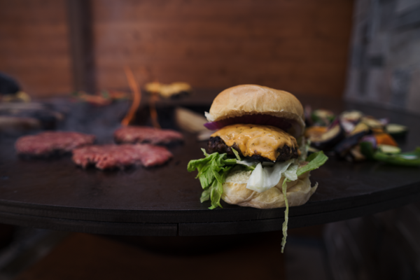BUSHMAN BARBEQUE - Image 4