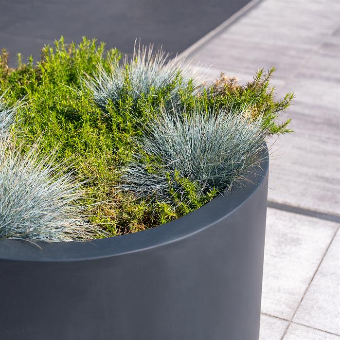 Circum Fibreglass Planters - Image 2