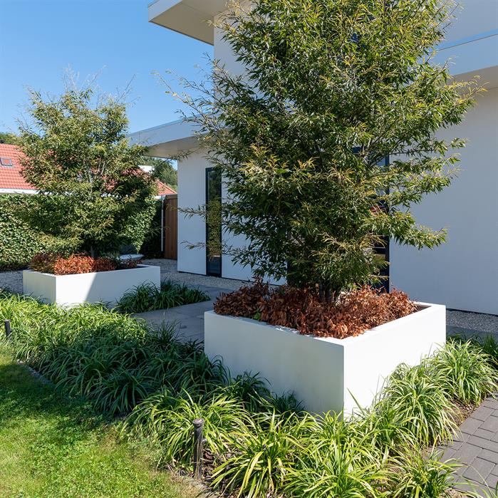 Carrez Fibreglass Planters - Image 3