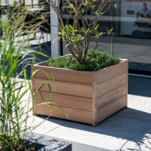 Carrez Hardwood Planter - Image 3