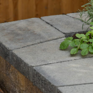 Petite Bordeaux Walling - Image 3