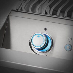 Napoleon Built-In 700 Series Single Range Top Burner With Stainless Steel Cover - Image 4