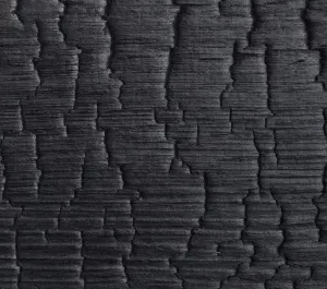 Deep Charred Cladding – 20x145x4000mm - Image 2