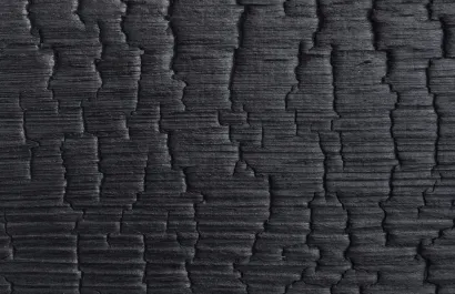 Deep Charred Cladding – 20x145x4000mm - Image 2
