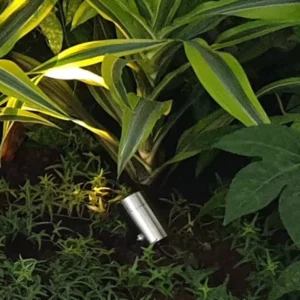 Ellumière Small Stainless Steel Spotlight 2W - Image 2