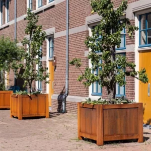 York Hardwood Planters - Image 4