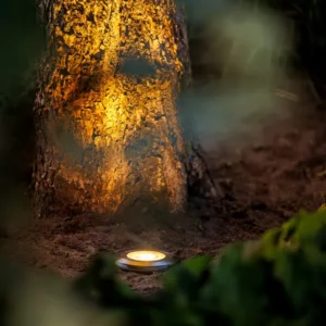 Garden Lightpro Agate 12V 3W LED Uplight IP67 - Image 2