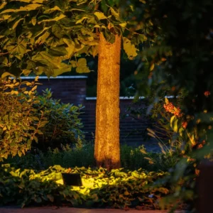 Garden Lightpro Avior 12V Dimmable 16W Flood Light - Image 2