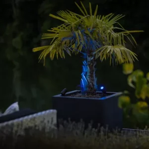 Garden Lightpro Castor Smart 12V 5W IP44 Spotlight (Zigbee) - Image 2