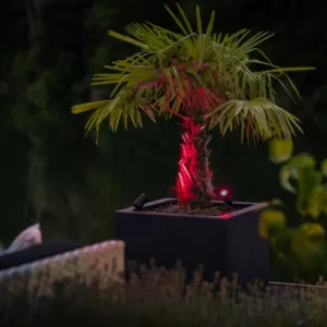 Garden Lightpro Castor Smart 12V 5W IP44 Spotlight (Zigbee) - Image 10