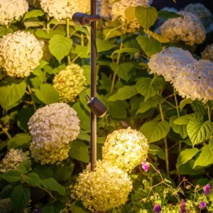 Garden Lightpro Juno Tube Spotlight 12V 4W - Image 5