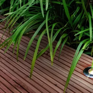 Garden Lightpro Onyx 60 R1 12V Decklight - Image 2