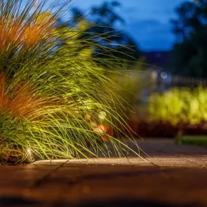 Garden Lightpro Tiga DL 12V - Image 3