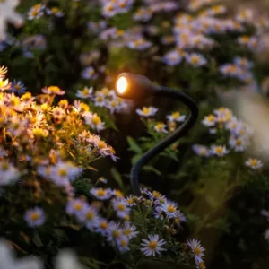 Garden Lightpro Xible 12V Spotlight - Image 3