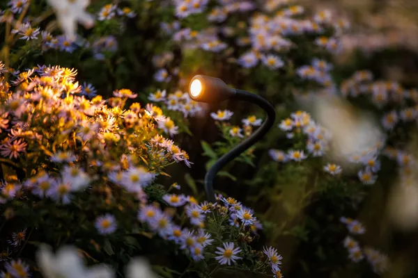 Garden Lightpro Xible 12V Spotlight - Image 3