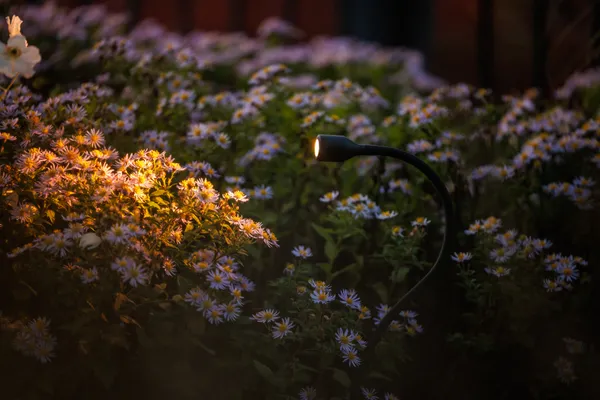 Garden Lightpro Xible 12V Spotlight - Image 4