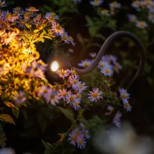 Garden Lightpro Xible 12V Spotlight - Image 5