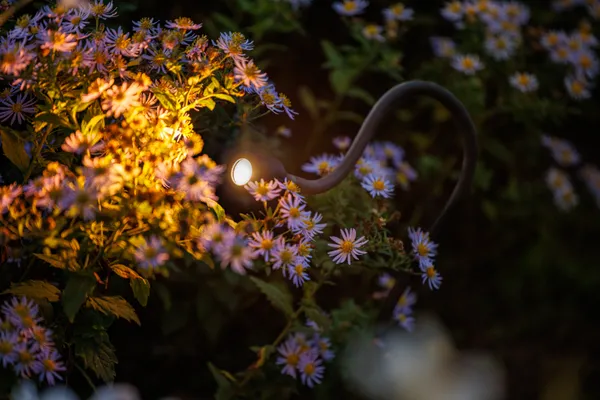 Garden Lightpro Xible 12V Spotlight - Image 5