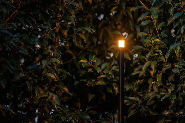 Garden Lightpro Erba Mid 12V Post Light 1.2W - Image 2