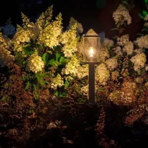 Garden Lightpro Eros Lo Post 12V Light - Image 2